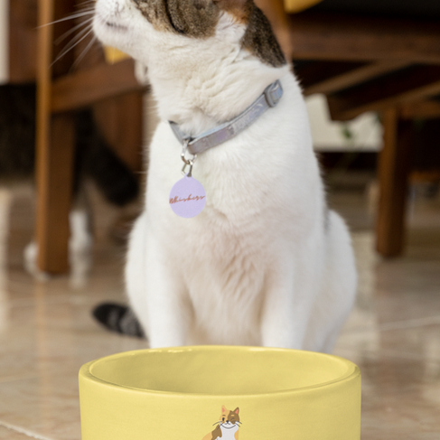 Personalized cat bowl made with Customily